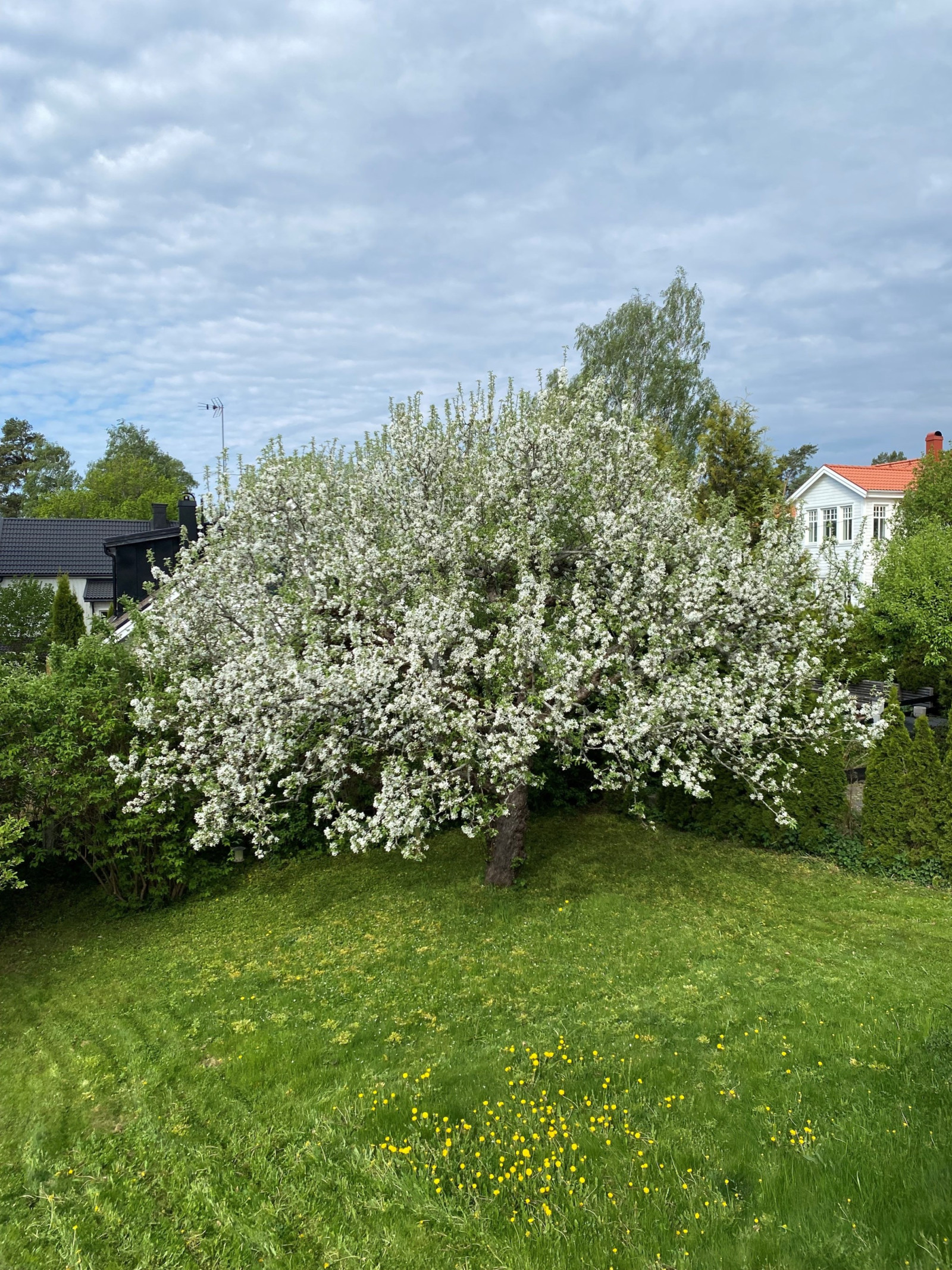 Säljares egen bild Östbovägen 11A