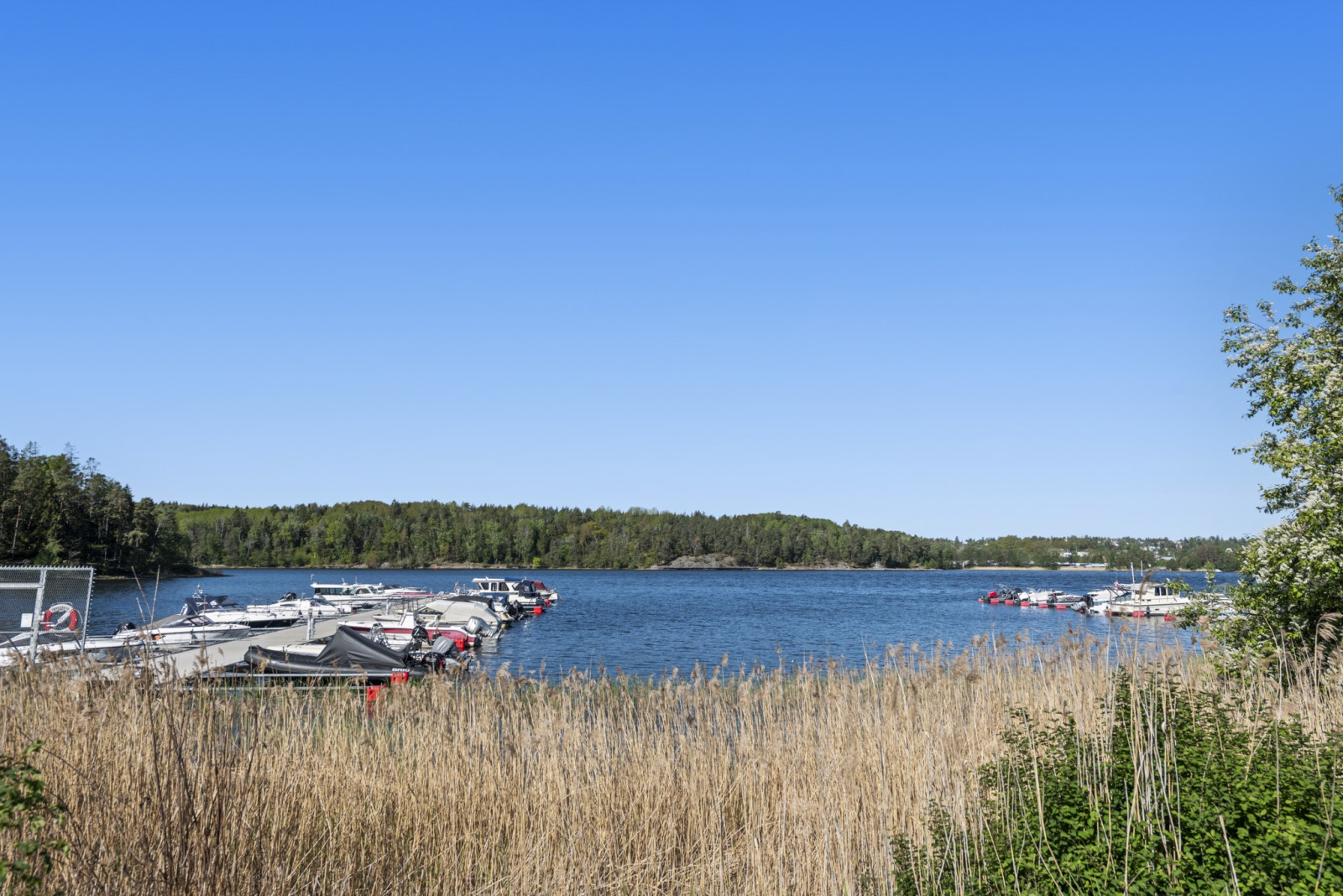  Skogsallén 5
