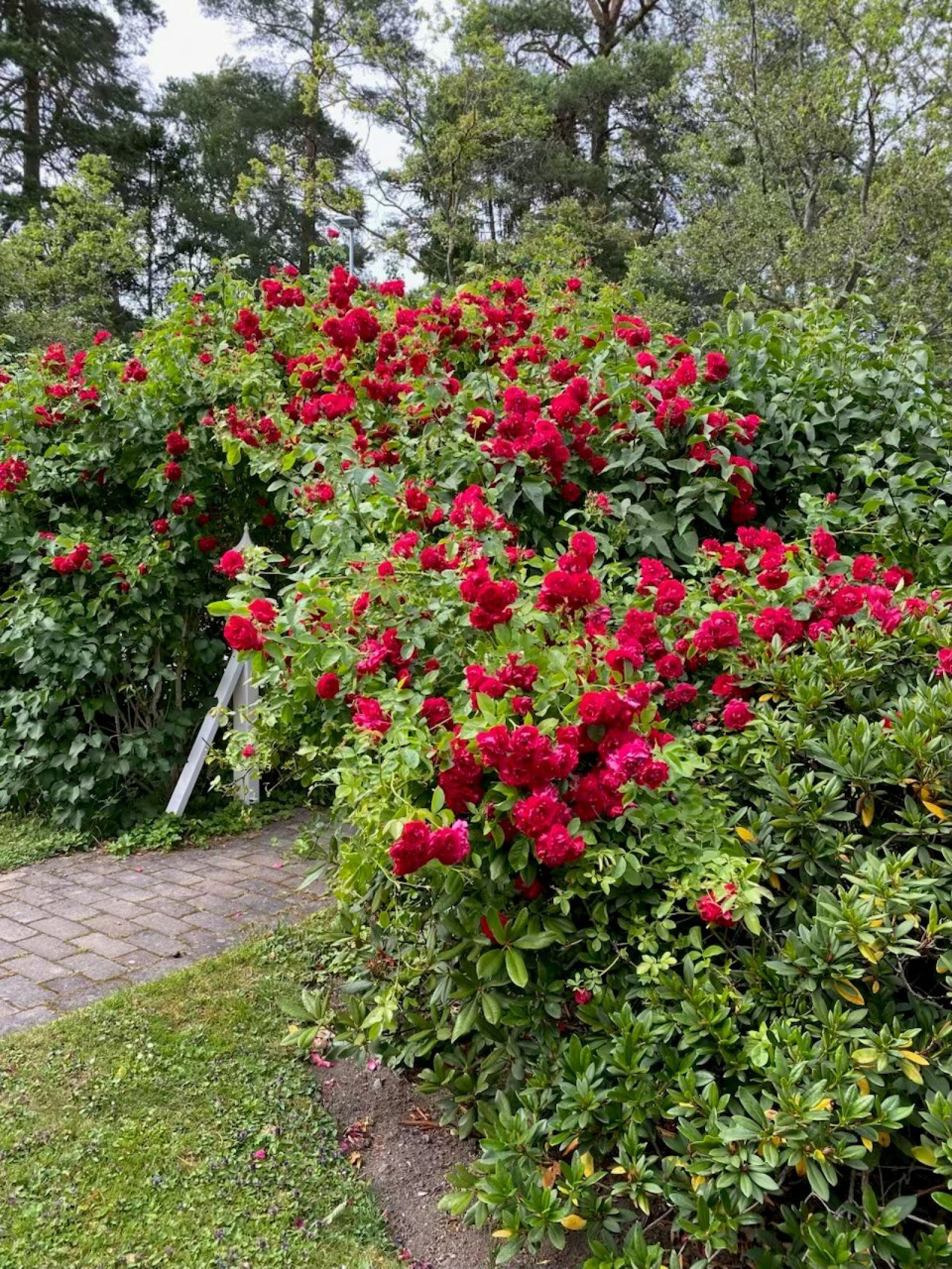 Säljarens egna bild Gamla Kyrkvägen 40