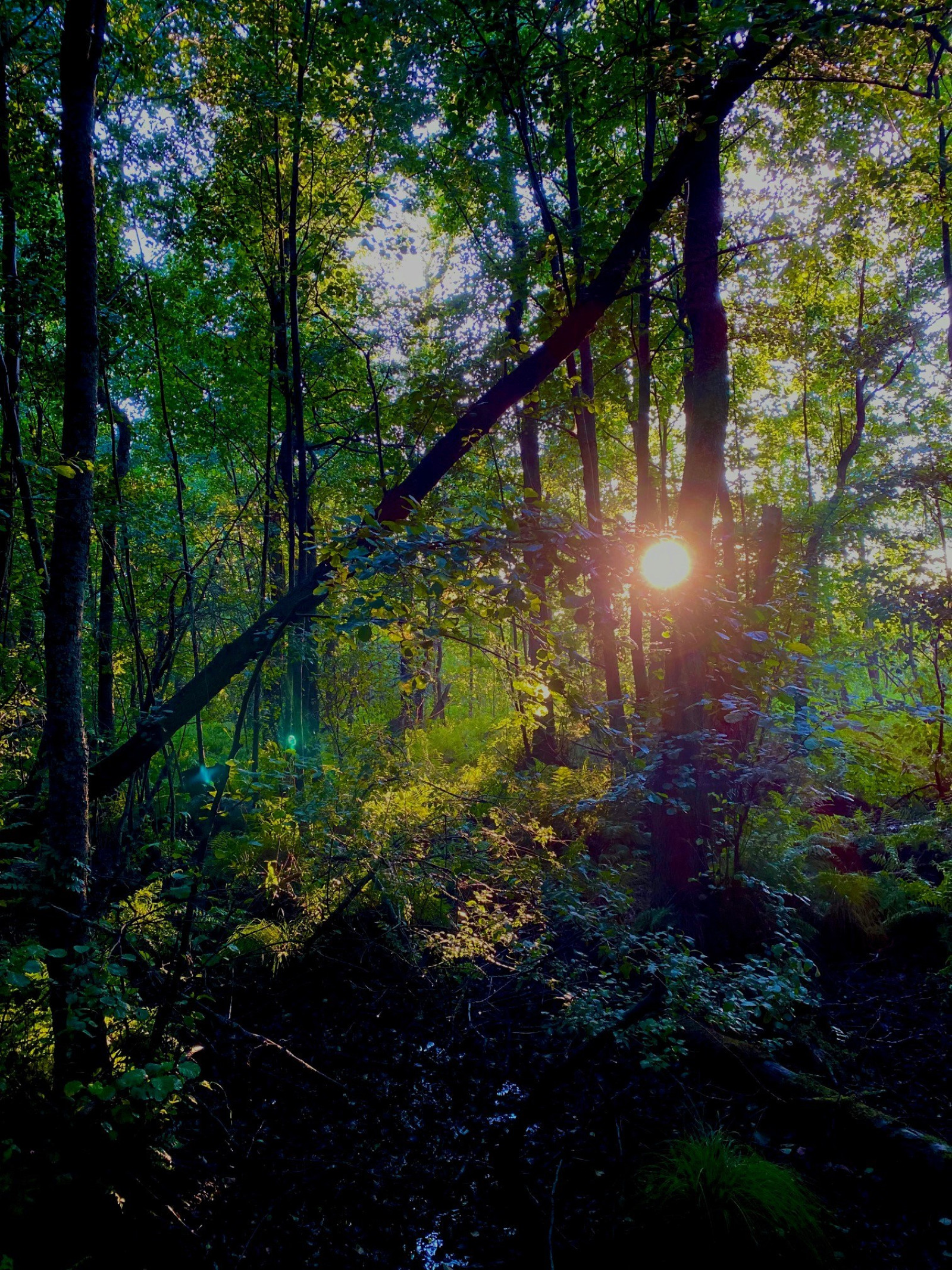 Säljarens egna bild 8 Gamla Kyrkvägen 40