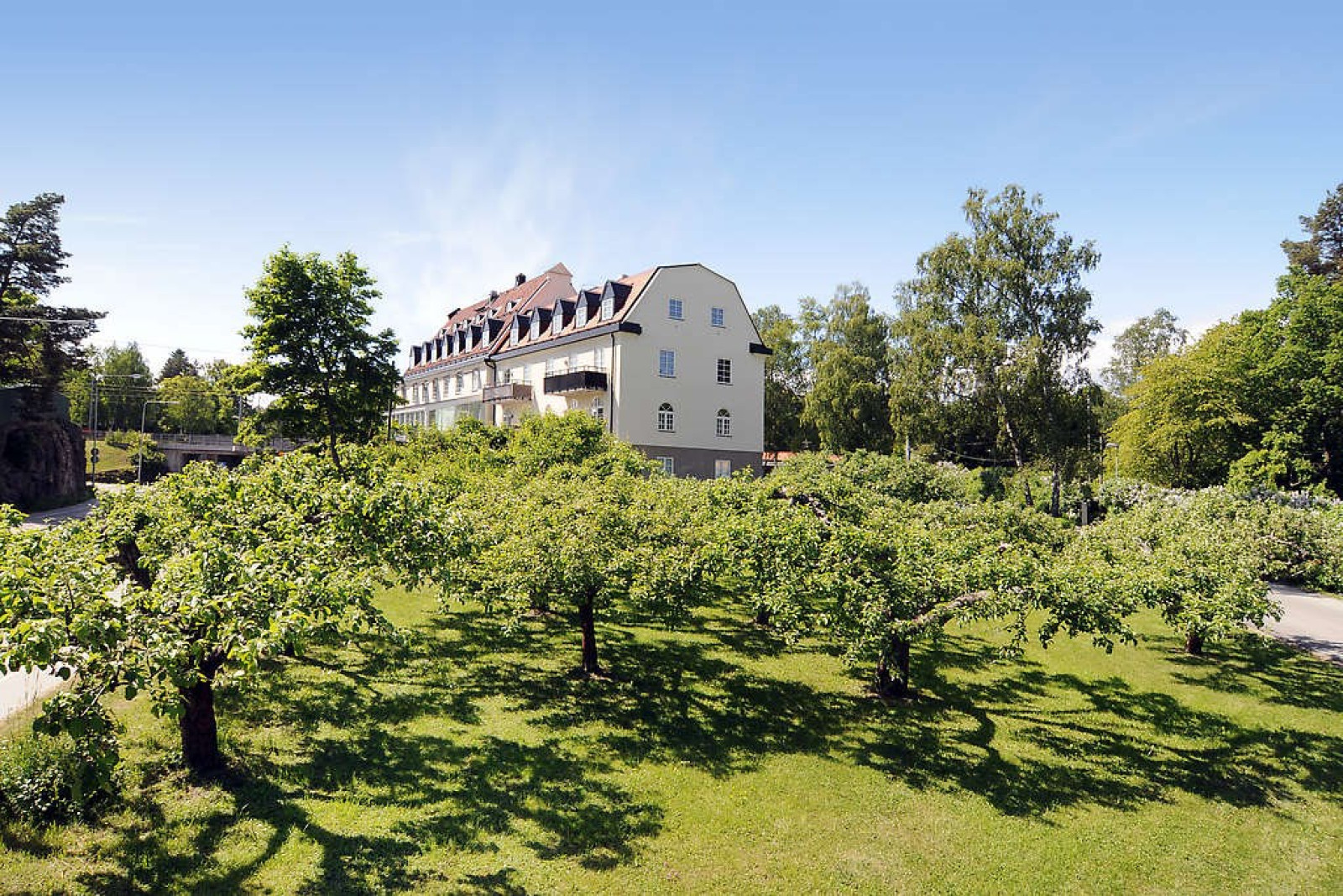 Föreningens äppellund Vendestigen 1